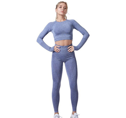 Seamless Yoga/Workout Set