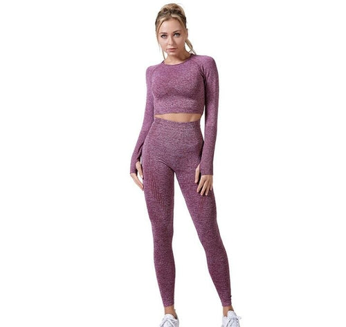 Seamless Yoga/Workout Set